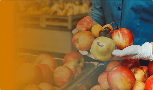 Pilot Results: How the Supermarket Chain Increased Profits by 7%