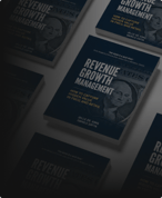 Revenue Growth Management